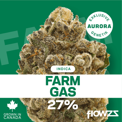 Pedanios 27/1 FRG-CA Farm Gas