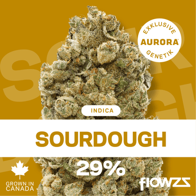 Pedanios 29/1 SRD-CA Sourdough