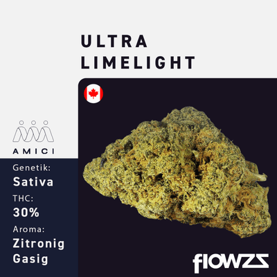 30/1 Amici UL Ultra Limelight