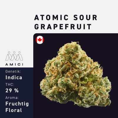 29/1 Amici AS Atomic Sour Grapefruit