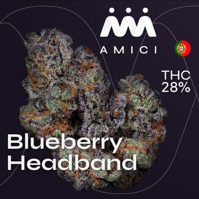 28/1 Amici BH Blueberry Headband
