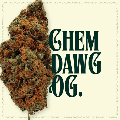 Origine Nature CHEM 29/1 Chemdawg OG