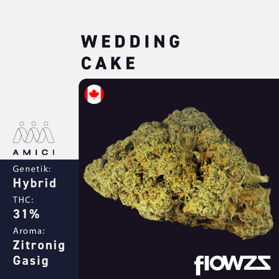 31/1 Amici WC Wedding Cake