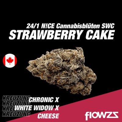 NICE 24/1 SWC Strawberry Cake