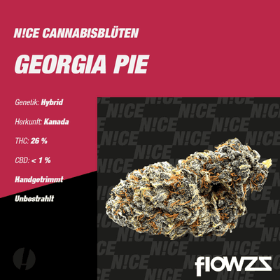 NICE 26/1 GP Georgia Pie