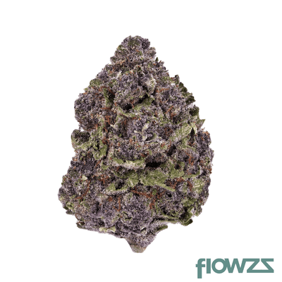 kush-collective-27-1-gdp-granddaddy-punch