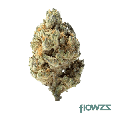 good-supply-thc25-bcr-beach-crasher