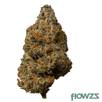 28-1-amici-cm-cereal-milk