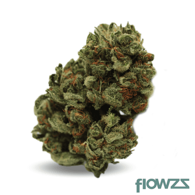 good-supply-thc10-cbd9-wlc-warlock-cbd
