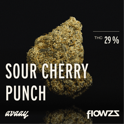 avaay 29/1 SCP Sour Cherry Punch