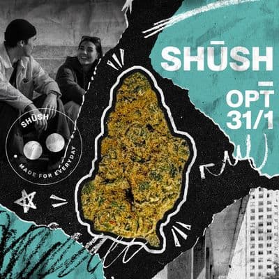 SHÜSH 31/1 OPT Ottopilot