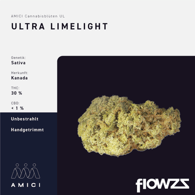 30/1 Amici UL Ultra Limelight
