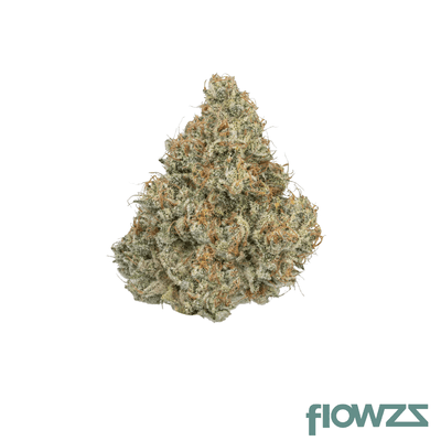 barongo-18-1-wg-gelato-41