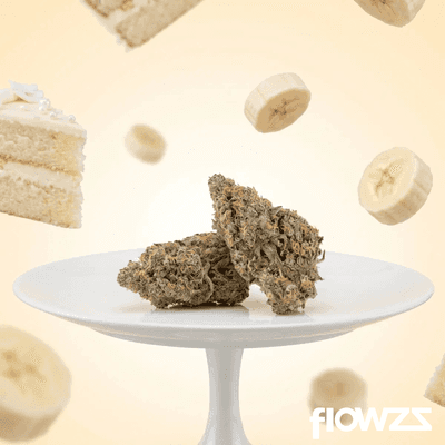 Remexian 33/1 GJY BAC Banana Cake