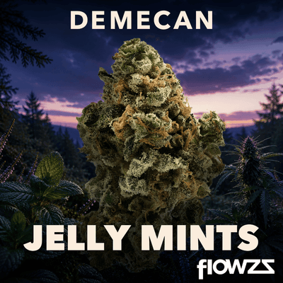 Demecan Core JM7 31/1 Jelly Mints