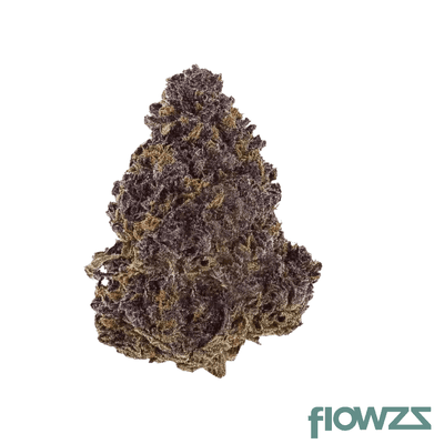 medical-saints-27-1-hub-huckleberry