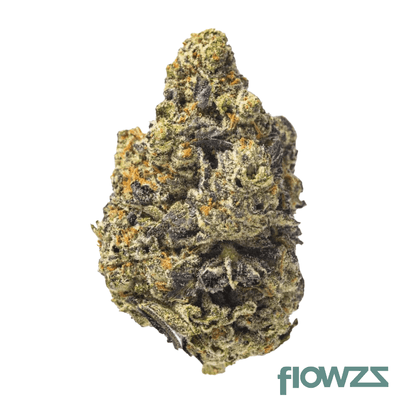 canopy-kmi-30