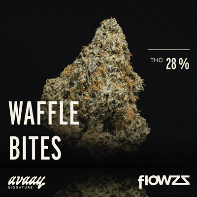 avaay SIGNATURE 28/1 WB Waffle Bites