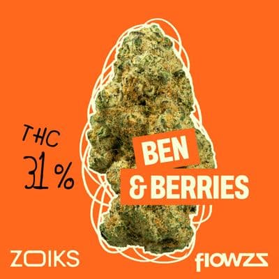 ZOIKS 31/1 BB Ben & Berries