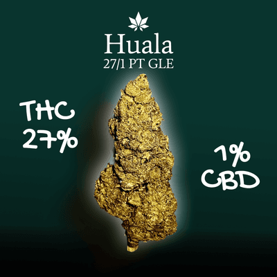 Huala 27/1 PT GLE Gas Leak