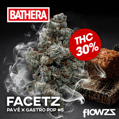 Bathera 30/1 FA Facetz