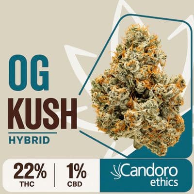  Candoro ethics 22:1 Hybrid OGK OG Kush