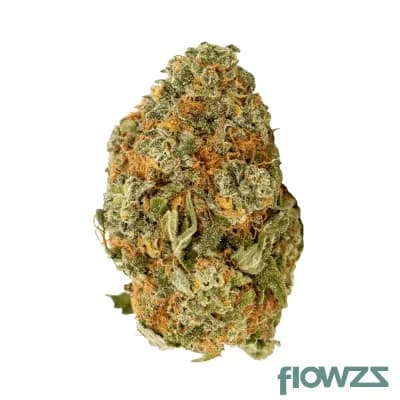 nice30-1-lk-lemon-kush