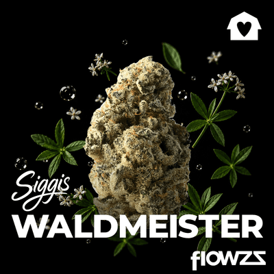 Siggis WLDM 28:01 Siggis Waldmeister