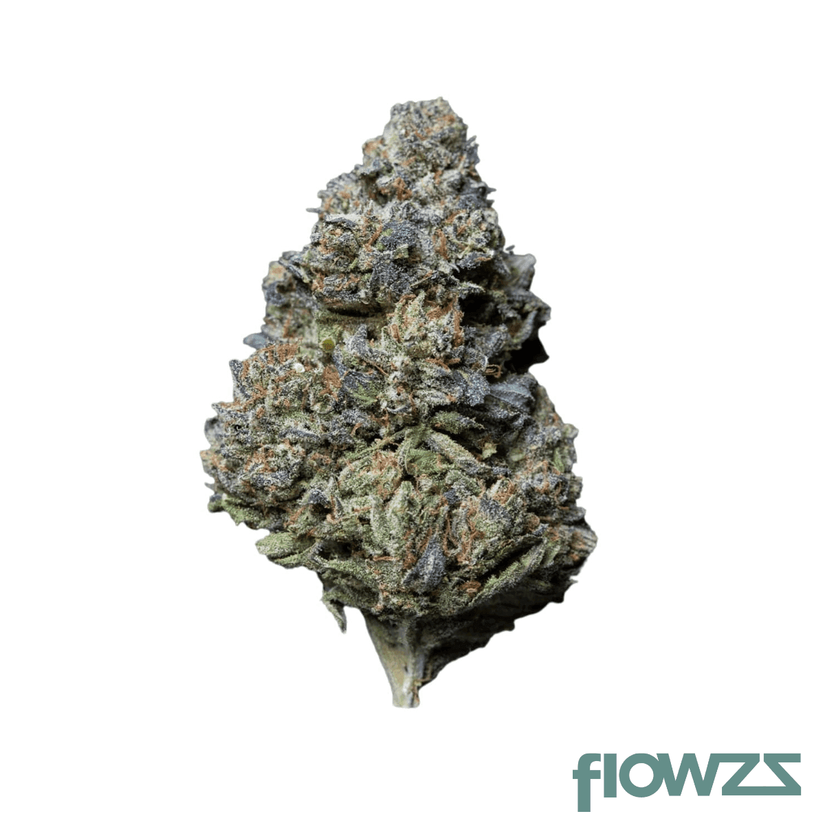 materia-kmz-22-1-kushmintz-z