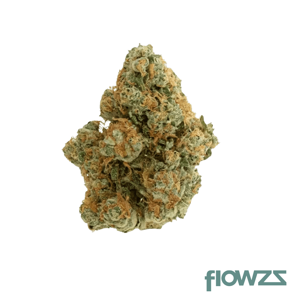 slouu-pg-ca-29-1-pineapple-god