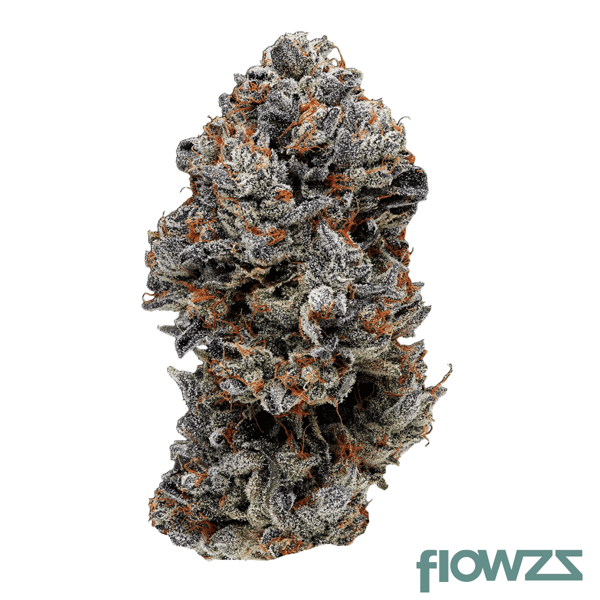 enua-27-1-coz-ca-cookies-oz