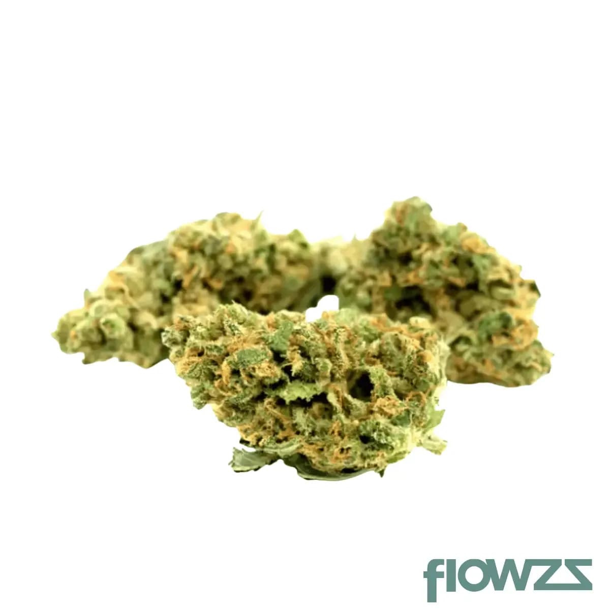 weeco-ww-24-1-dk-white-widow