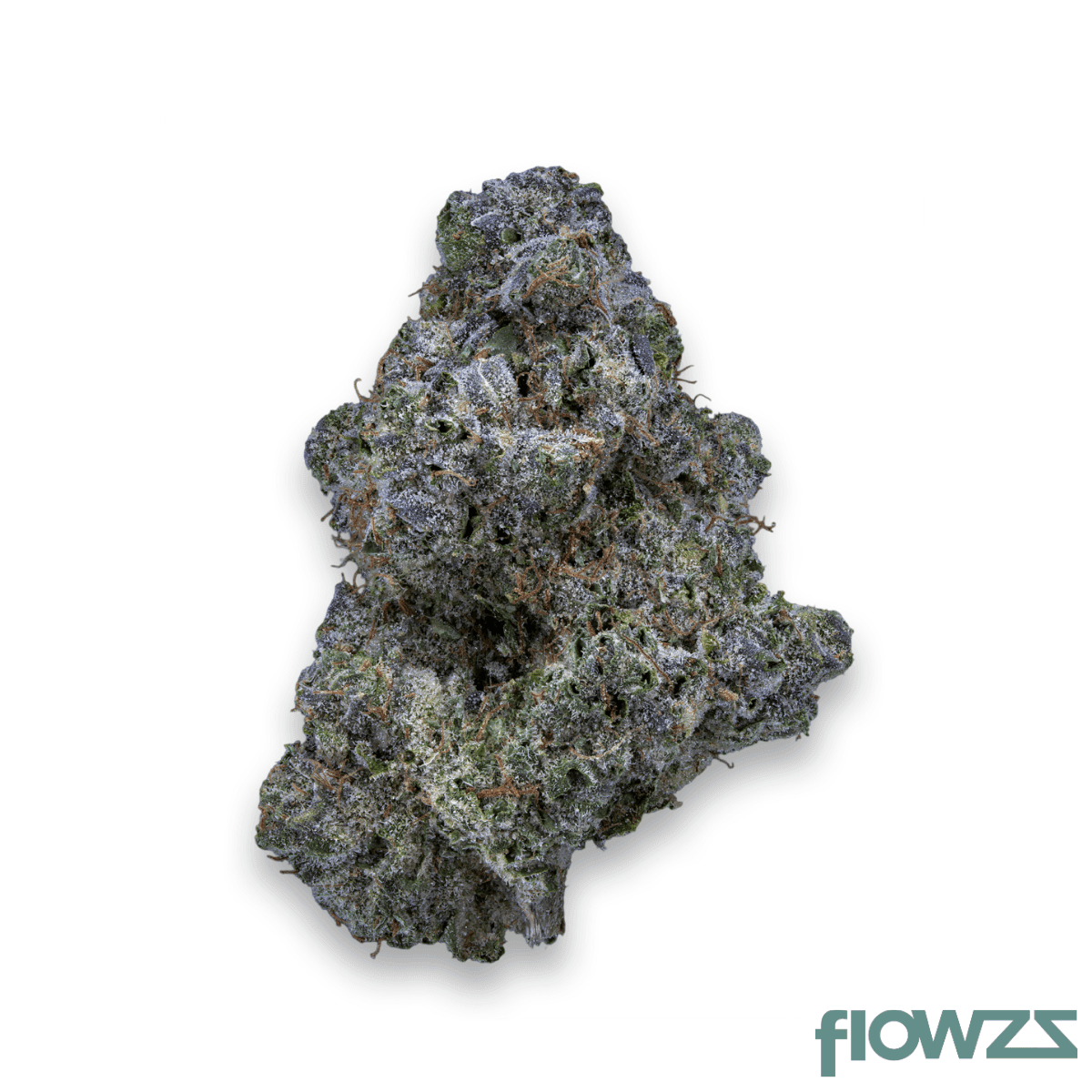 28-1-iuvo-kc-oj-zainbow