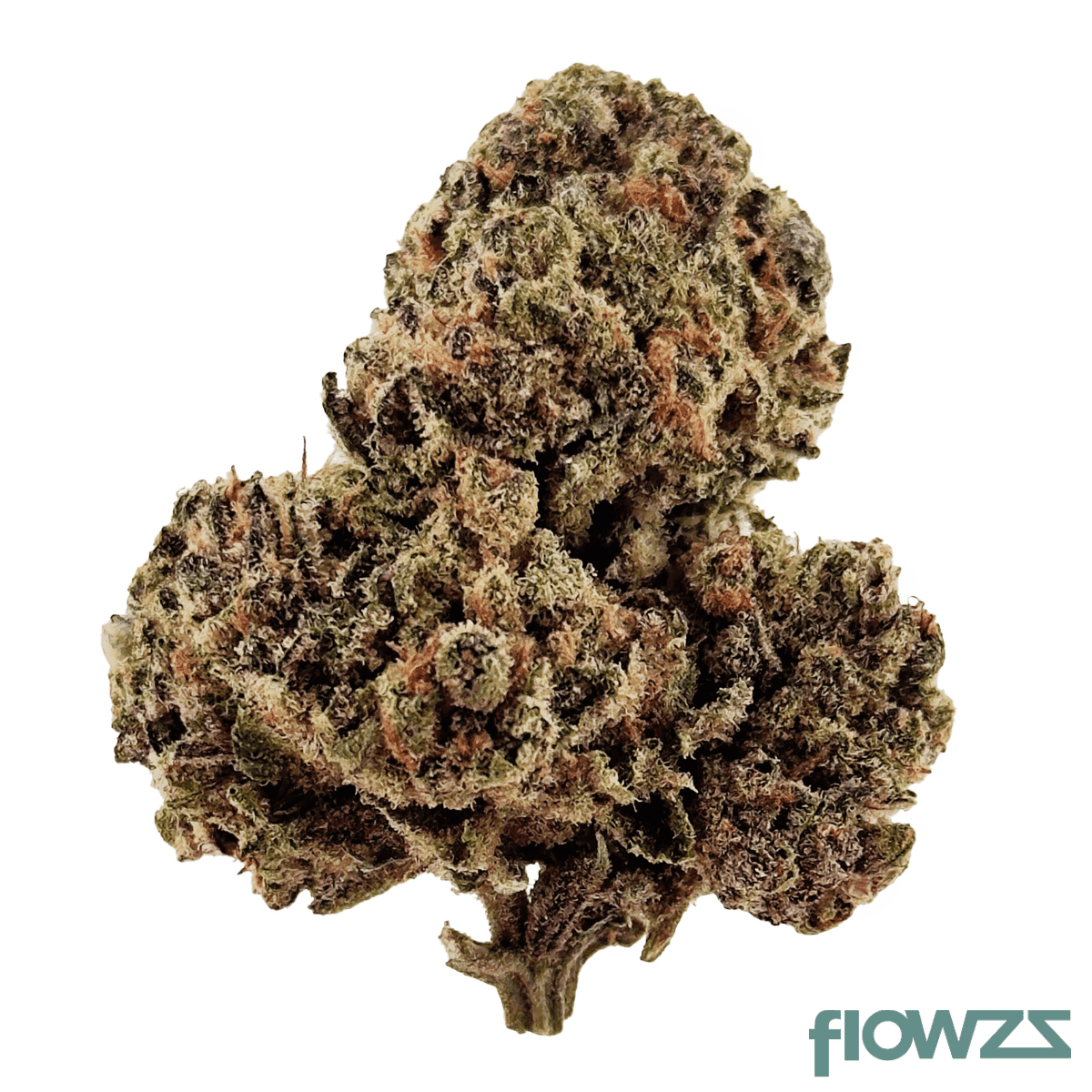 mgf-cali-x-zosa-28-1