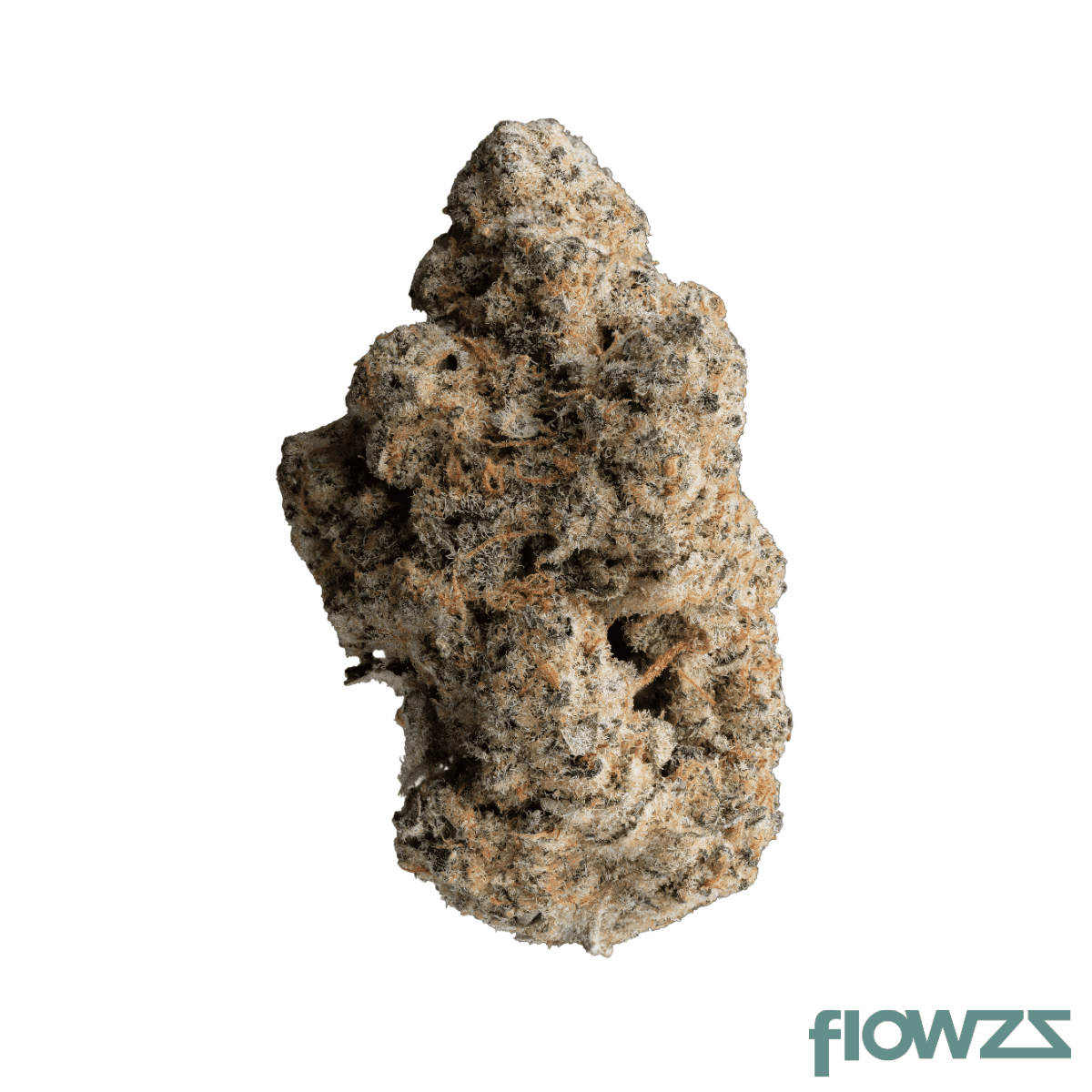 growmotion-tj-27-tricho-jordan