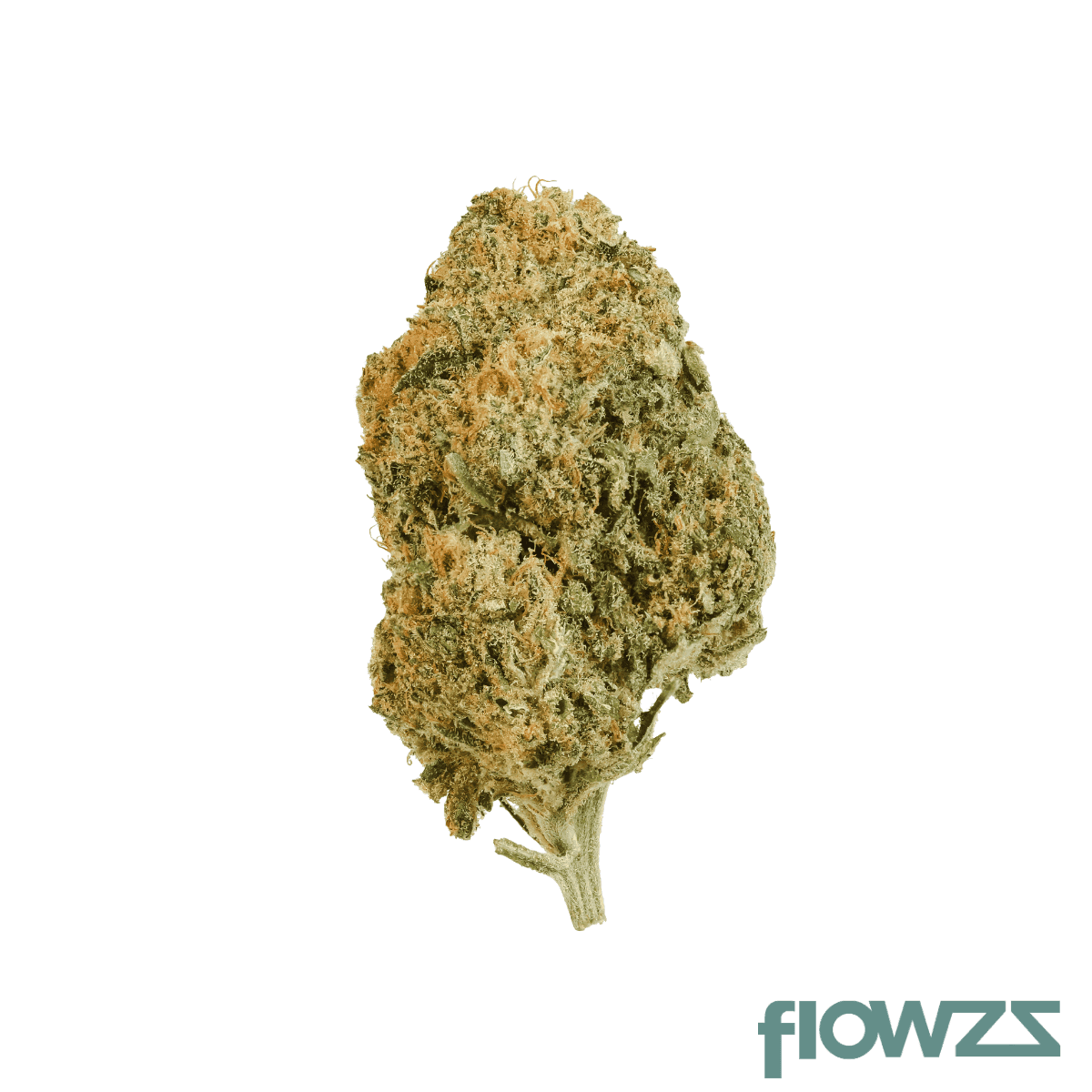 Vayamed Balanced 12/9 Cannatonic