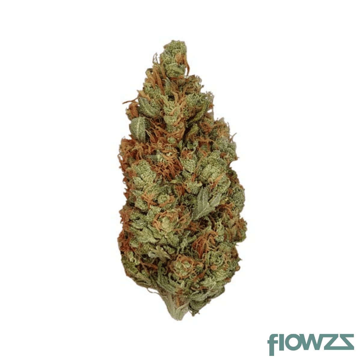 medicus-gge-green-gelato