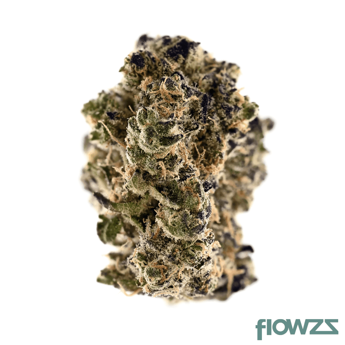 demecan-craft-emerald-27-01-gmo-gush-mints