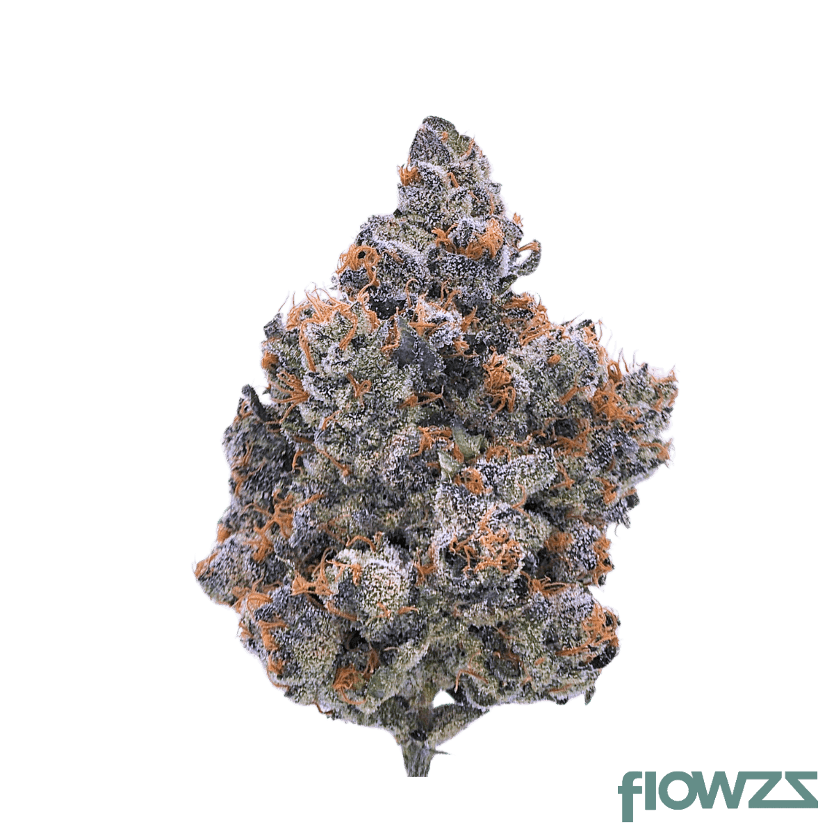 Cannabis flos 30/1 CNDA Ku. Purple Churro