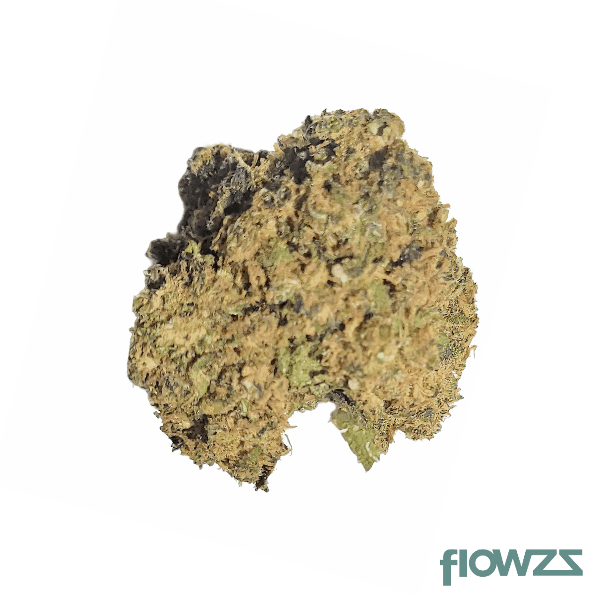 canopy-jh-21-1-jack-haze