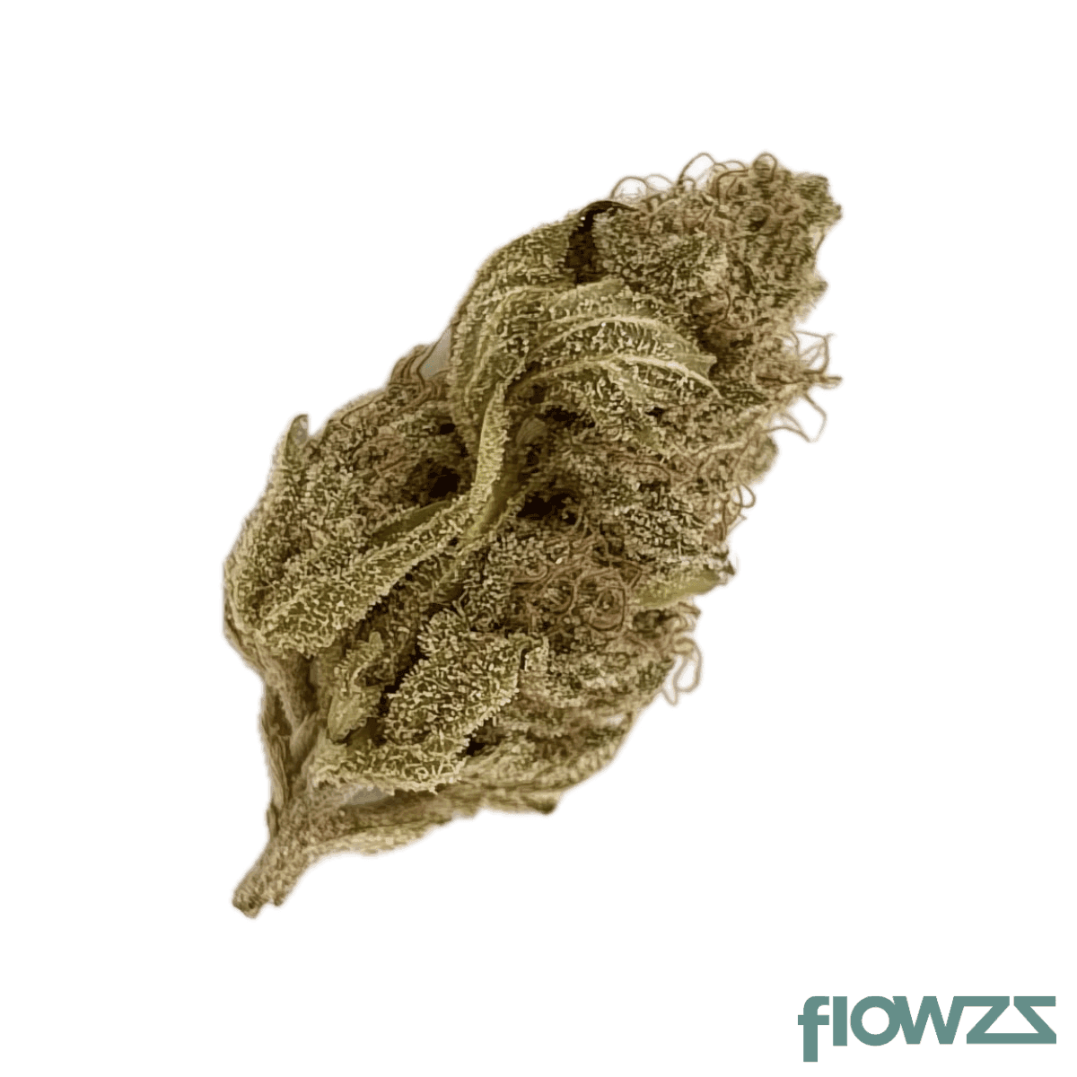 mfg-pop-up-no-10-30-1-thc-rich-gastro-pop