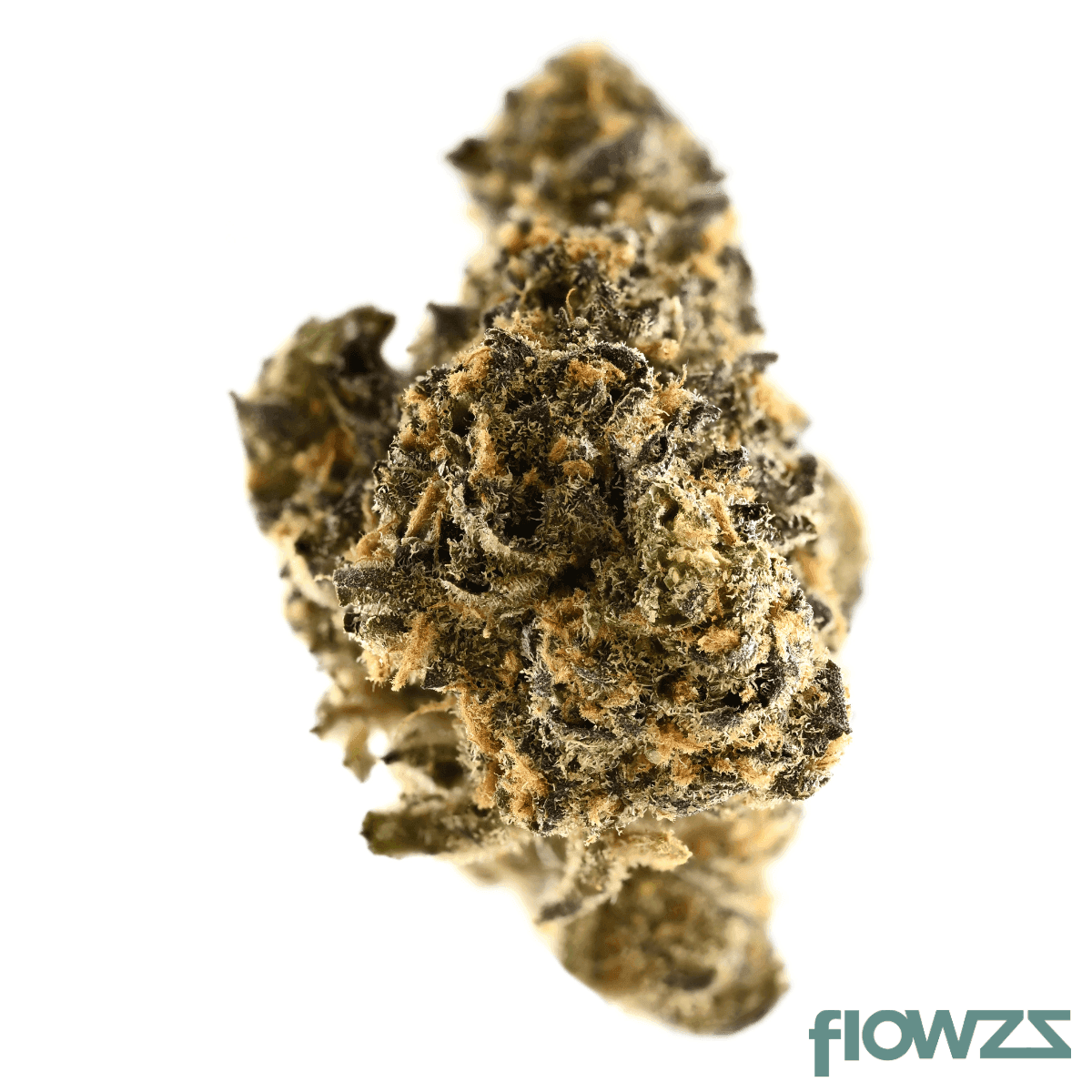 Demecan Core Purple Twist 23:01 RS11