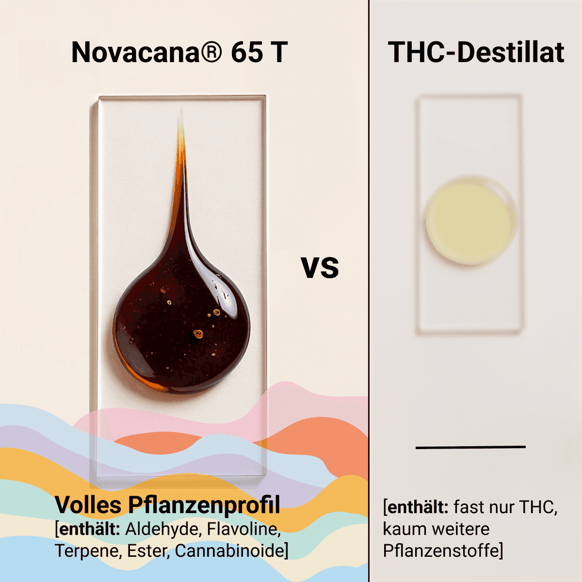 novacana-65-t-cali-haze