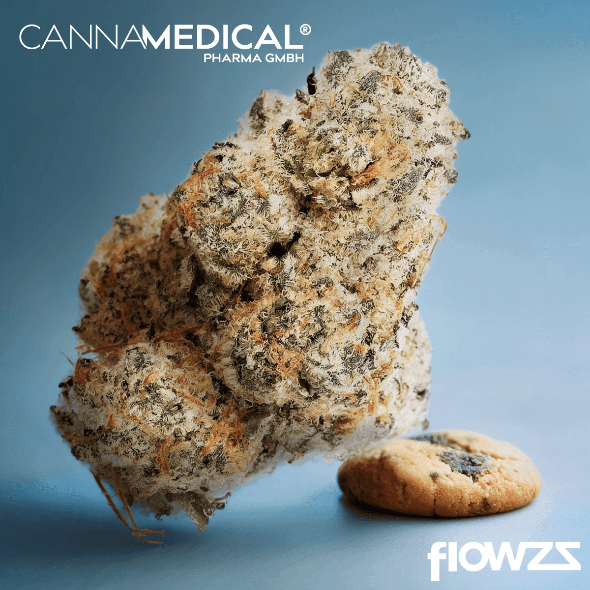 Cannamedical Sativa Ultra NM Polar Cookies
