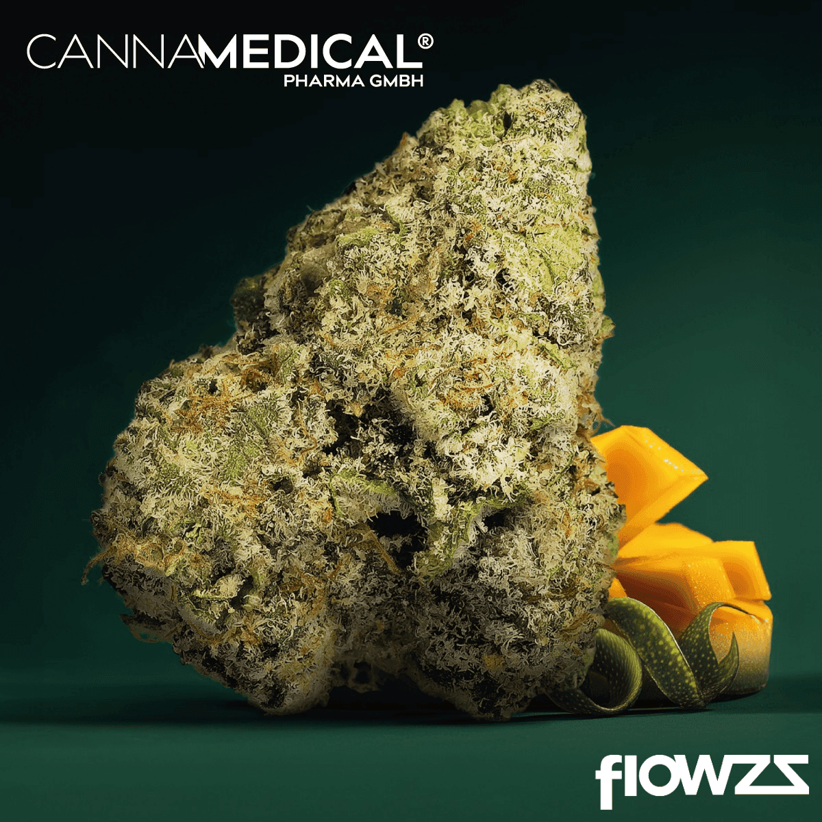 Cannamedical Sativa forte NM Wedding Tree