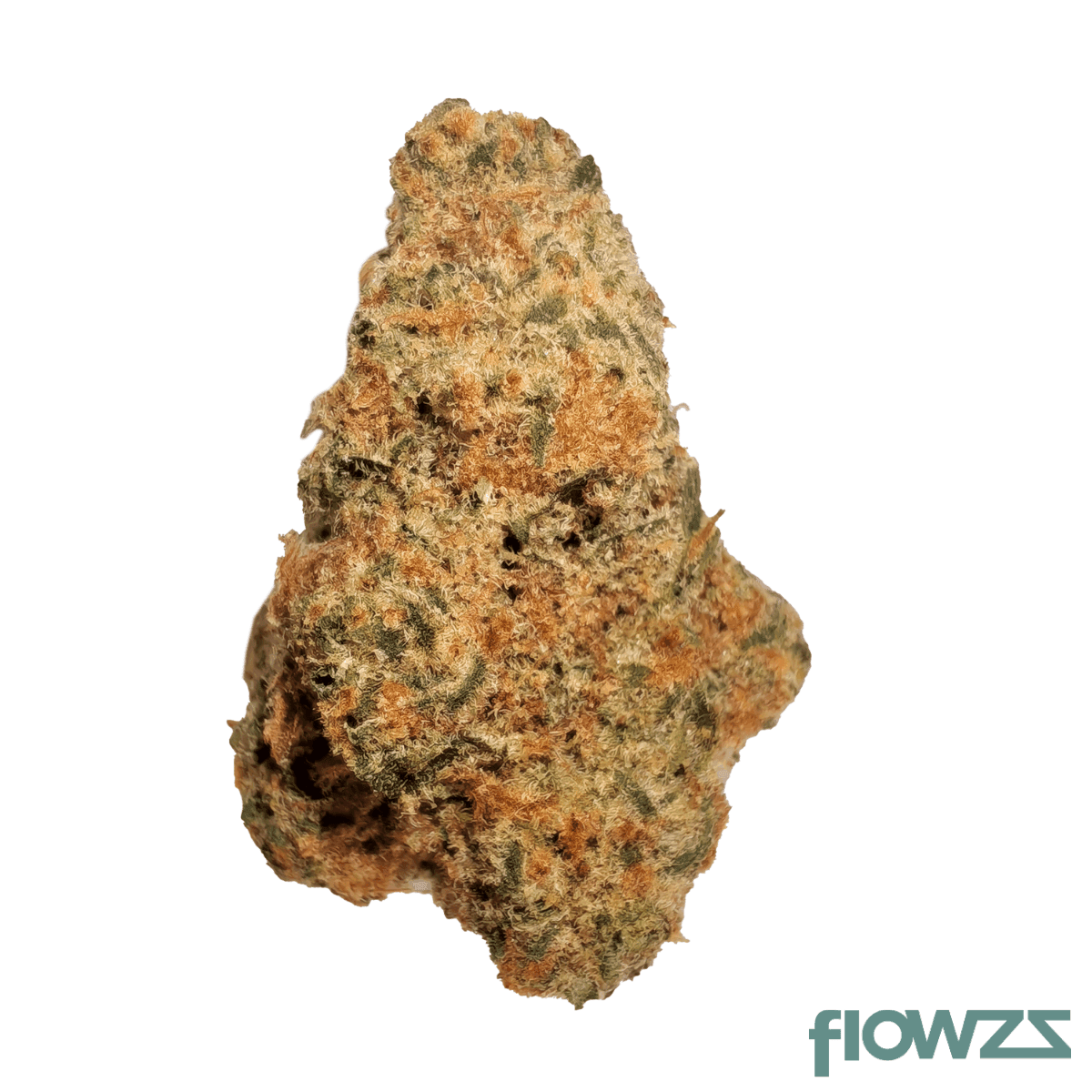 zoiks-26-1-gck-gg44-x-critical-kush