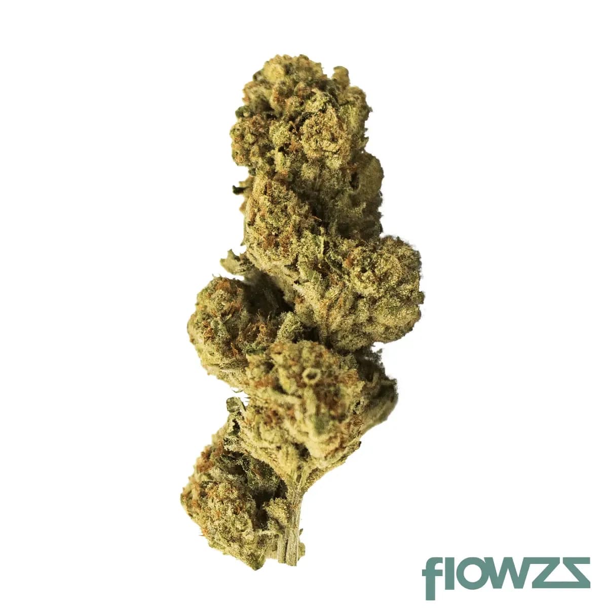 sumo-pab-25-1-rainbow-papaya-bomb