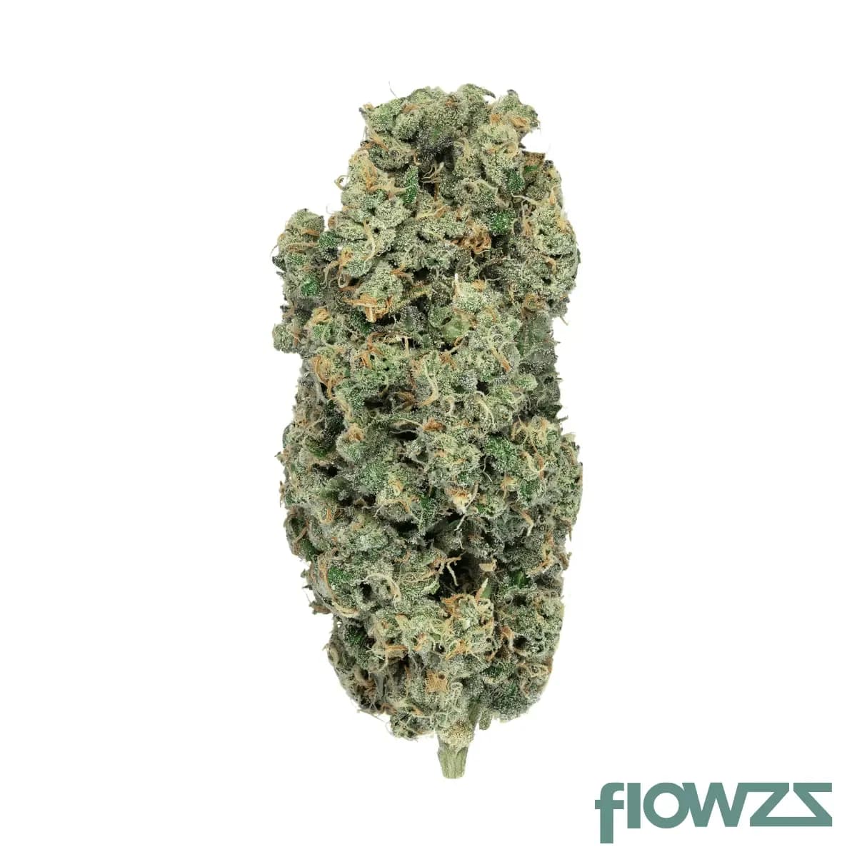 soma-og-32-1-pf-spritzer