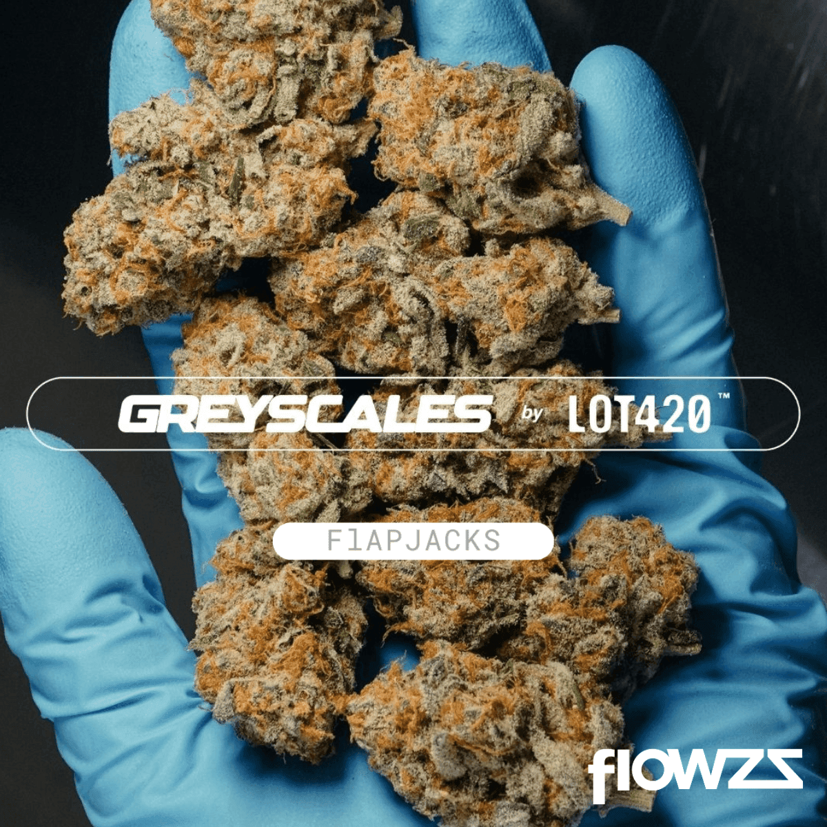 cantourage-26-1-greyscales-fj-flapjacks