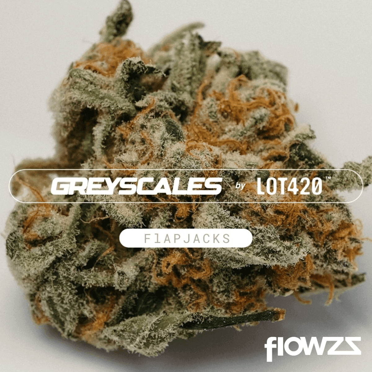 cantourage-26-1-greyscales-fj-flapjacks